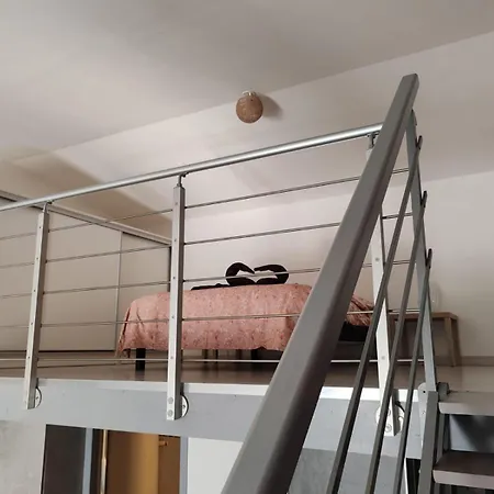 Le Zebre Un Sejour A Part *