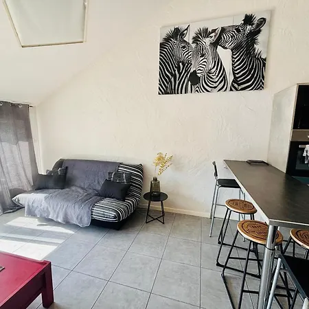Le Zebre Un Sejour A Part * Amnéville