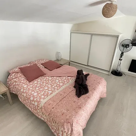 Le Zebre Un Sejour A Part *