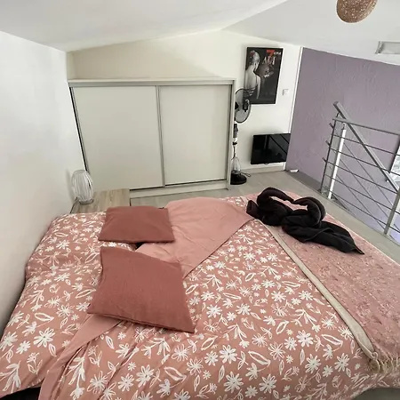 Appartement Le Zebre Un Sejour A Part