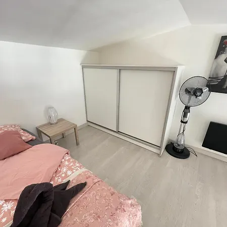 Le Zebre Un Sejour A Part Appartement *