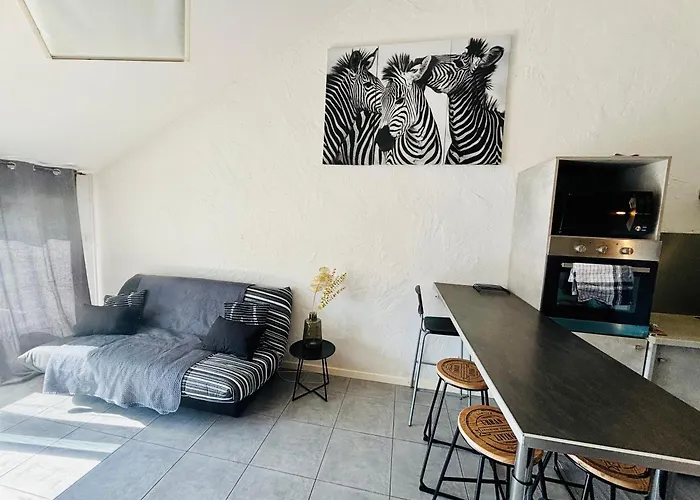 Apartmán Le Zebre Un Sejour A Part