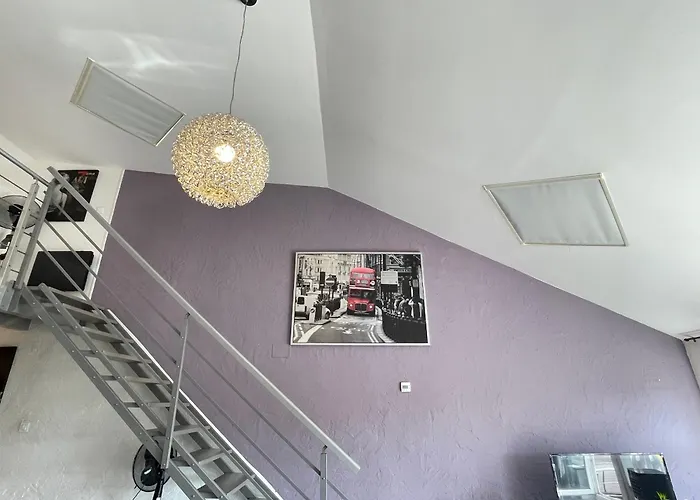 Le Zebre Un Sejour A Part *