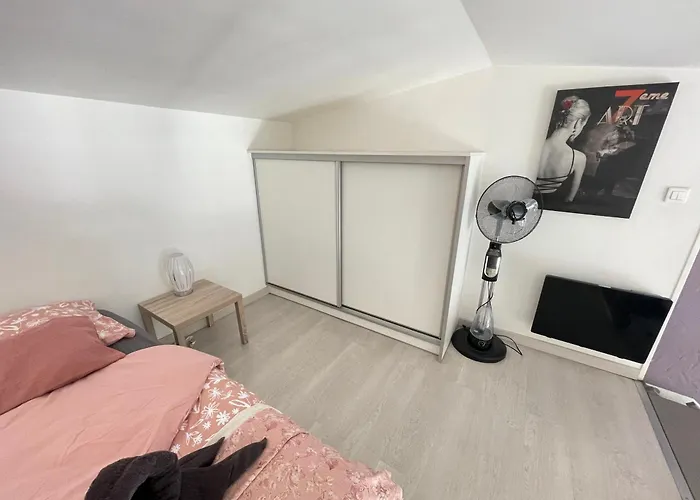 Le Zebre Un Sejour A Part *